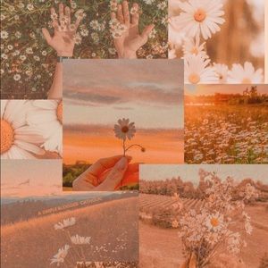 Meet your Posher, Chloe